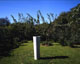 Fountain in the Grazia and Gianni's Garden, 2006 (Total view)